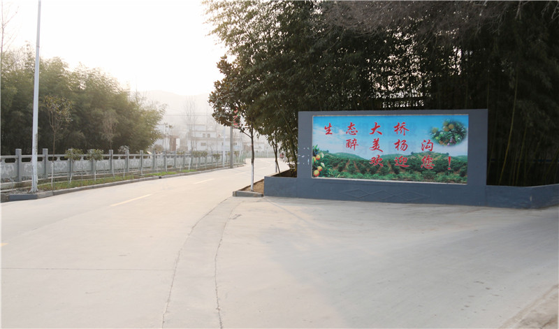 内乡大桥杨沟村_副本.jpg