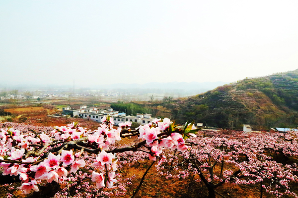 油桃沟（樊珂）.jpg