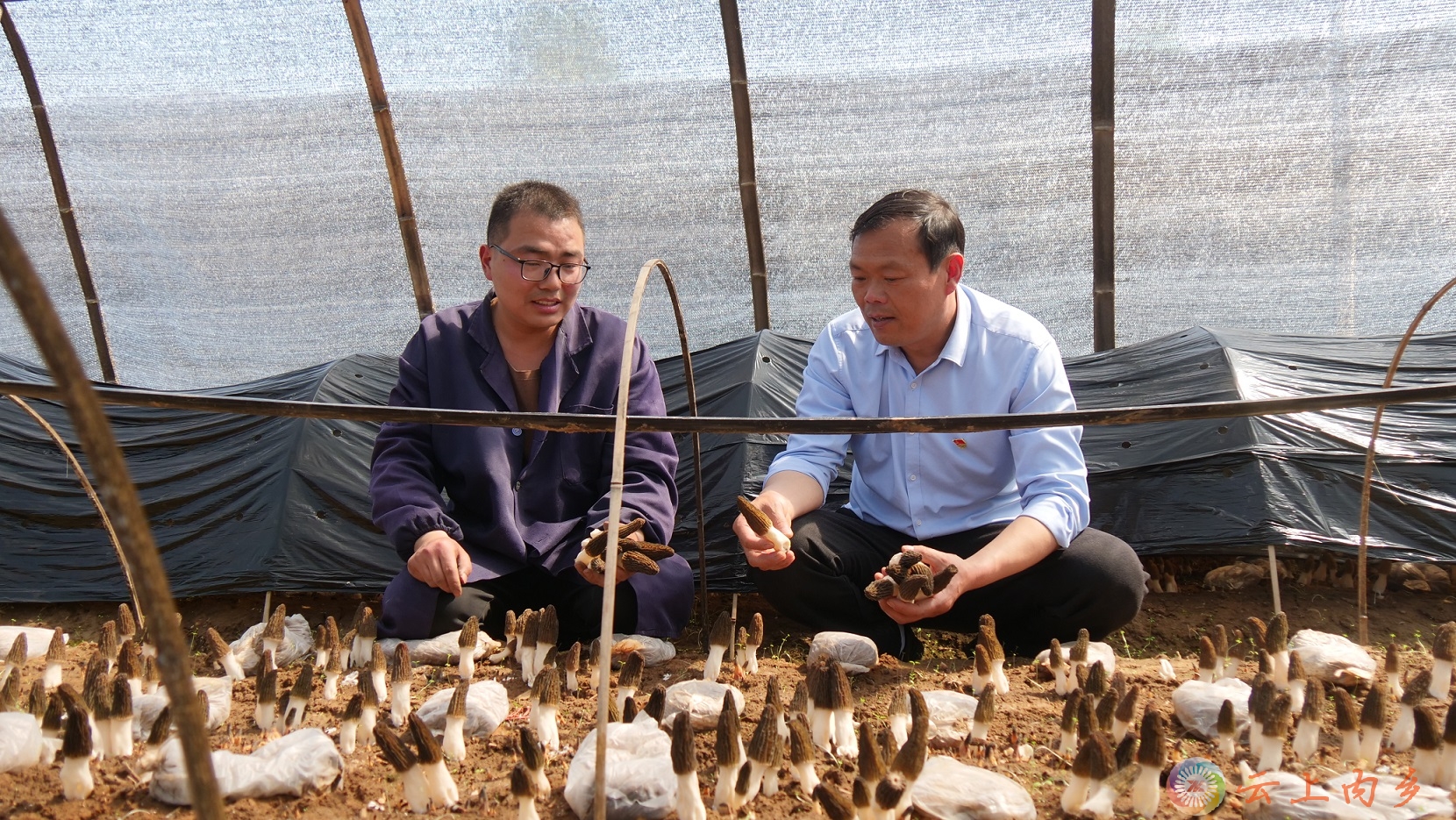 微信图片_20250326092413.jpg 微信图片_20250326092413.jpg